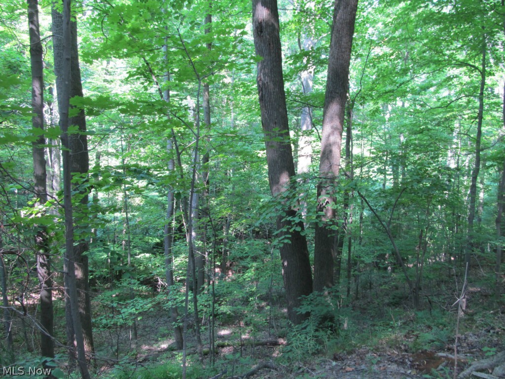 9622 Ravenna Road Chardon, OH 44024 - Photo 4 of 11