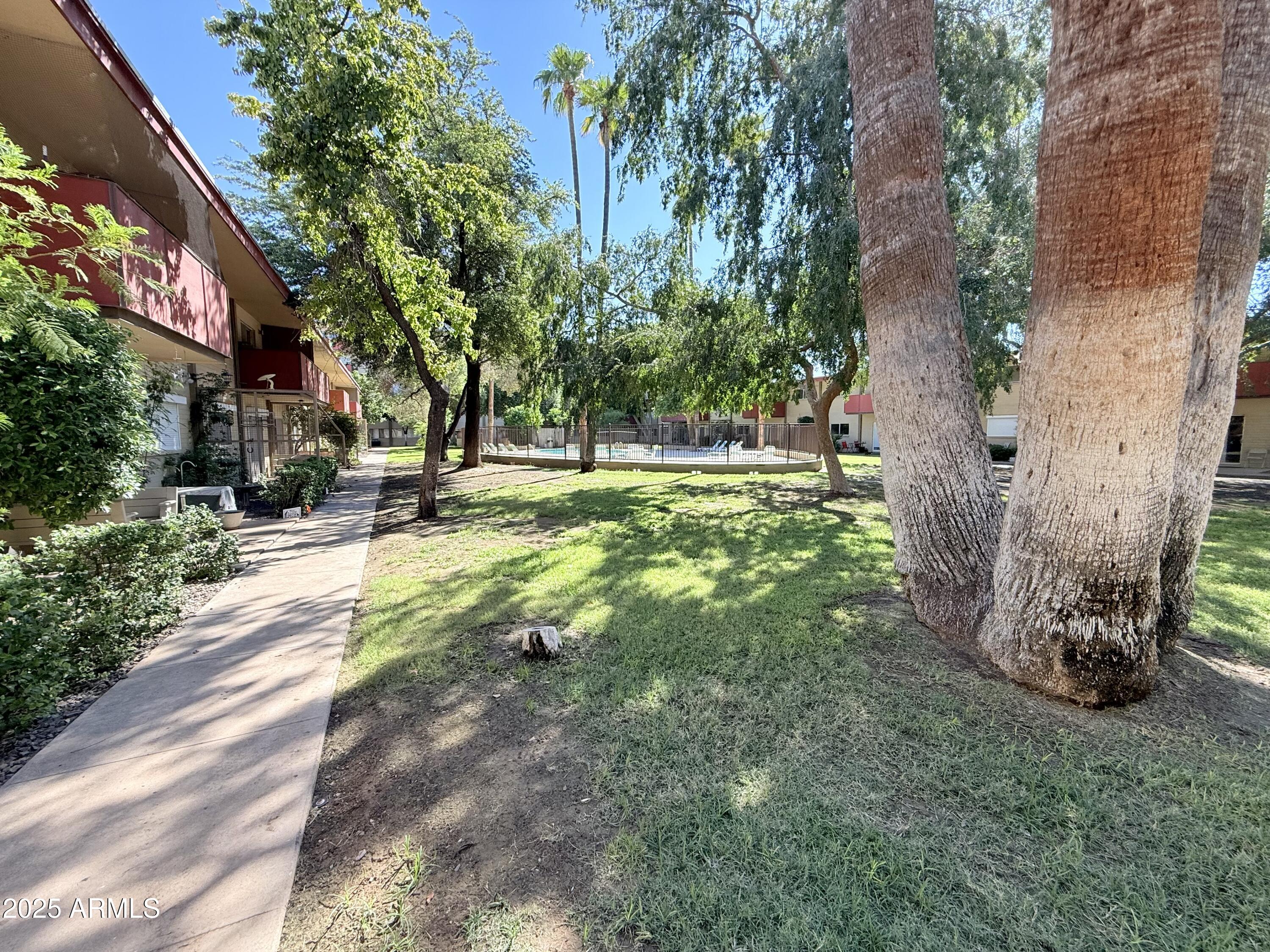 357 East Thomas Road, Unit A105 Phoenix, AZ 85012 - Photo 49 of 51 a view of a yard with plants and large trees