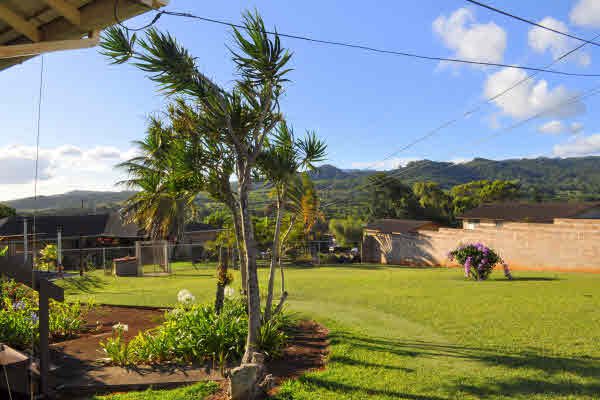 2317 Puu Road Kalaheo, HI 96741 - Photo 20 of 24 Gallery Image 20