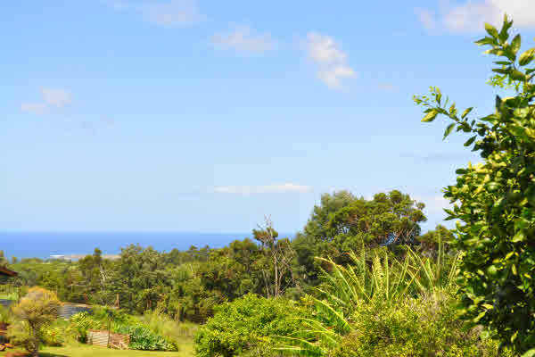 2317 Puu Road Kalaheo, HI 96741 - Photo 3 of 24 Gallery Image 3