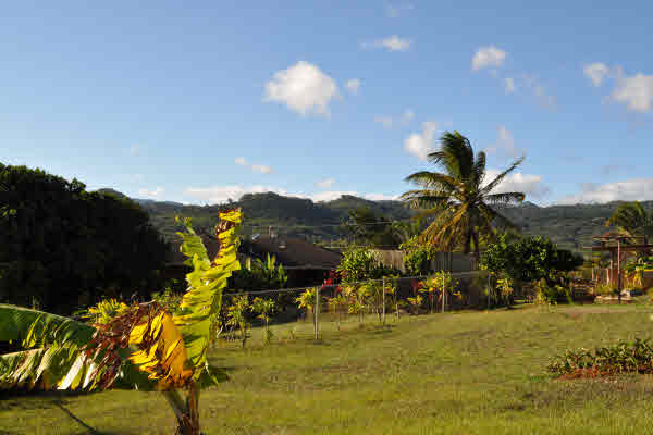 2317 Puu Road Kalaheo, HI 96741 - Photo 8 of 24 Gallery Image 8