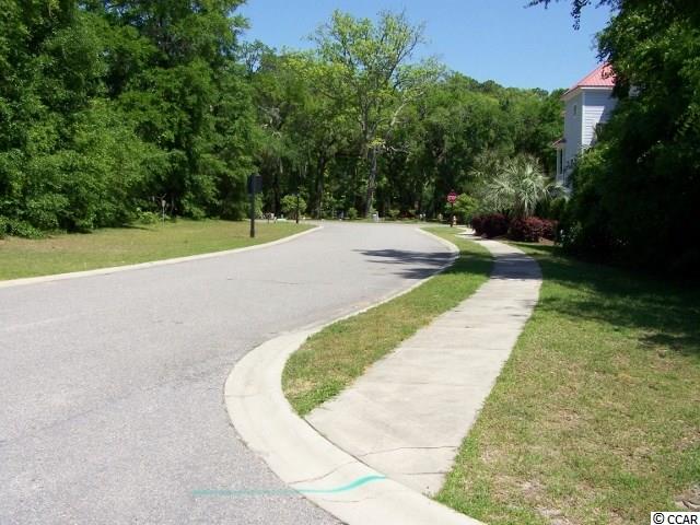 Lot 47 Highway 17 Business Murrells Inlet Murrells Inlet, SC 29576 - Photo 10 of 17 Gallery Image 10