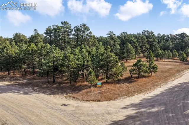 a view of a park with tree s