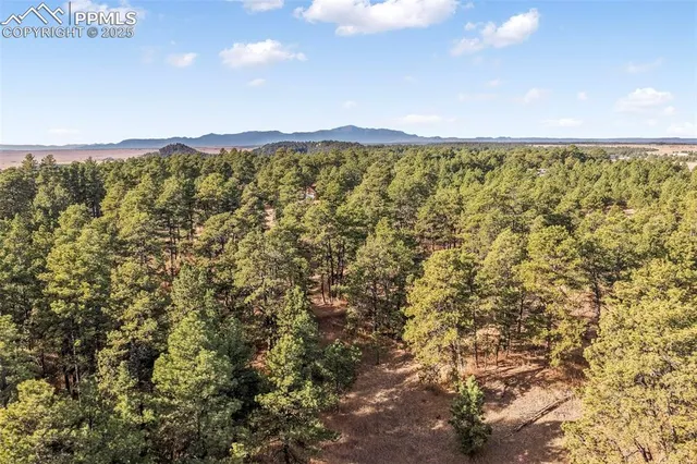 a view of trees covered with green space