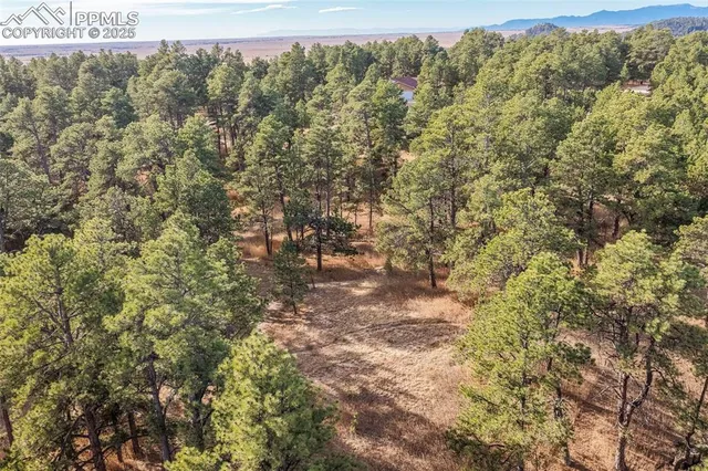 a view of outdoor space with trees