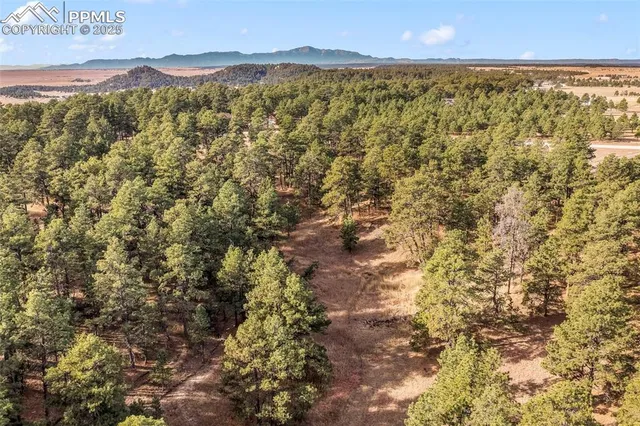a view of city and ocean