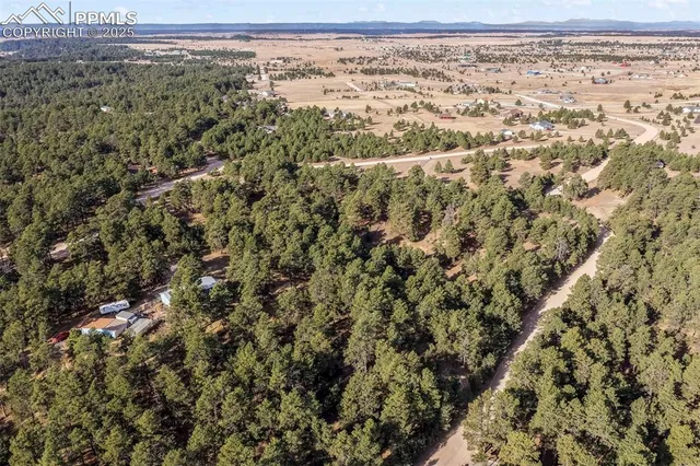 a view of a yard with a plant