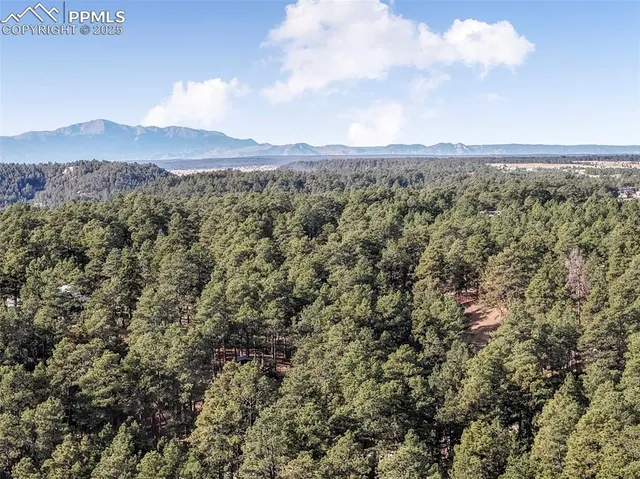 an aerial view of houses covered in trees