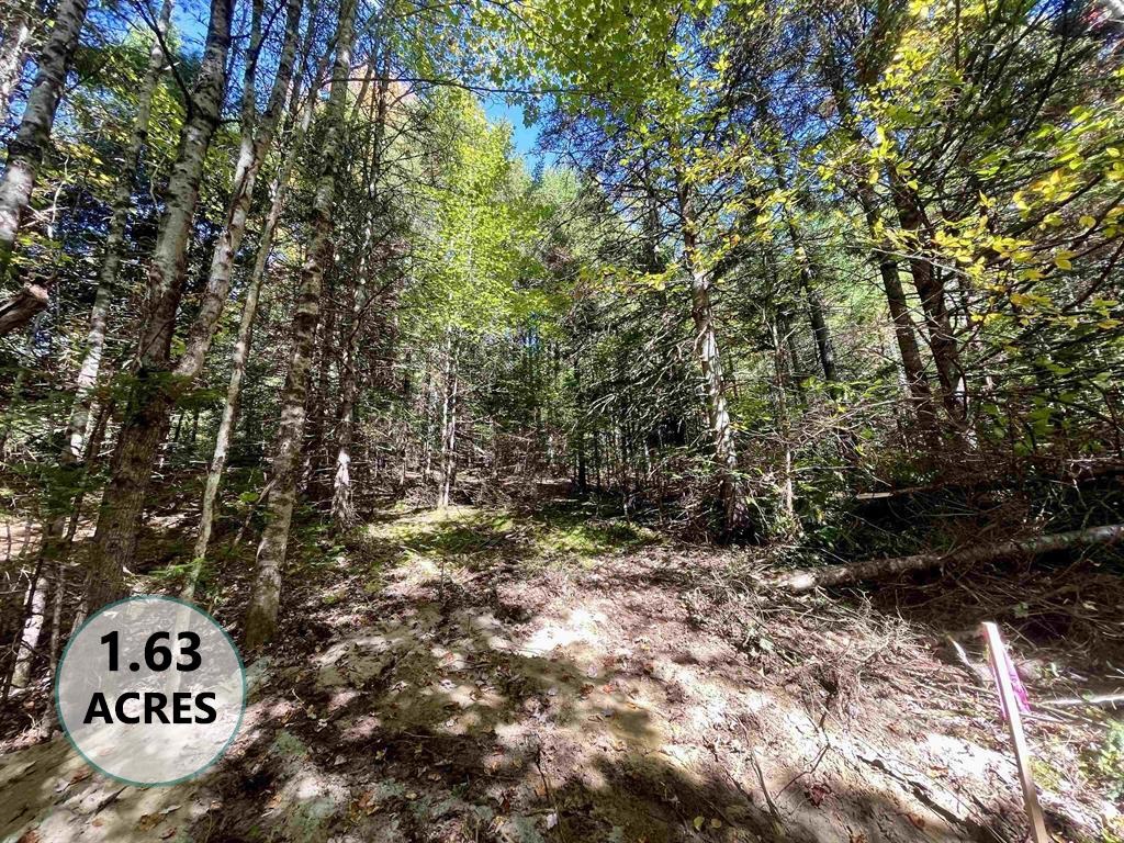0 Marshall Newland Road East Burke, VT 05832 - Photo 8 of 29