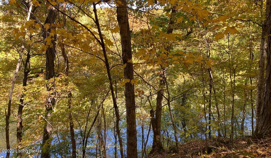 L78 Ted Logsdon Road Clarkson, KY 42726 - Photo 13 of 14 River View Fall202