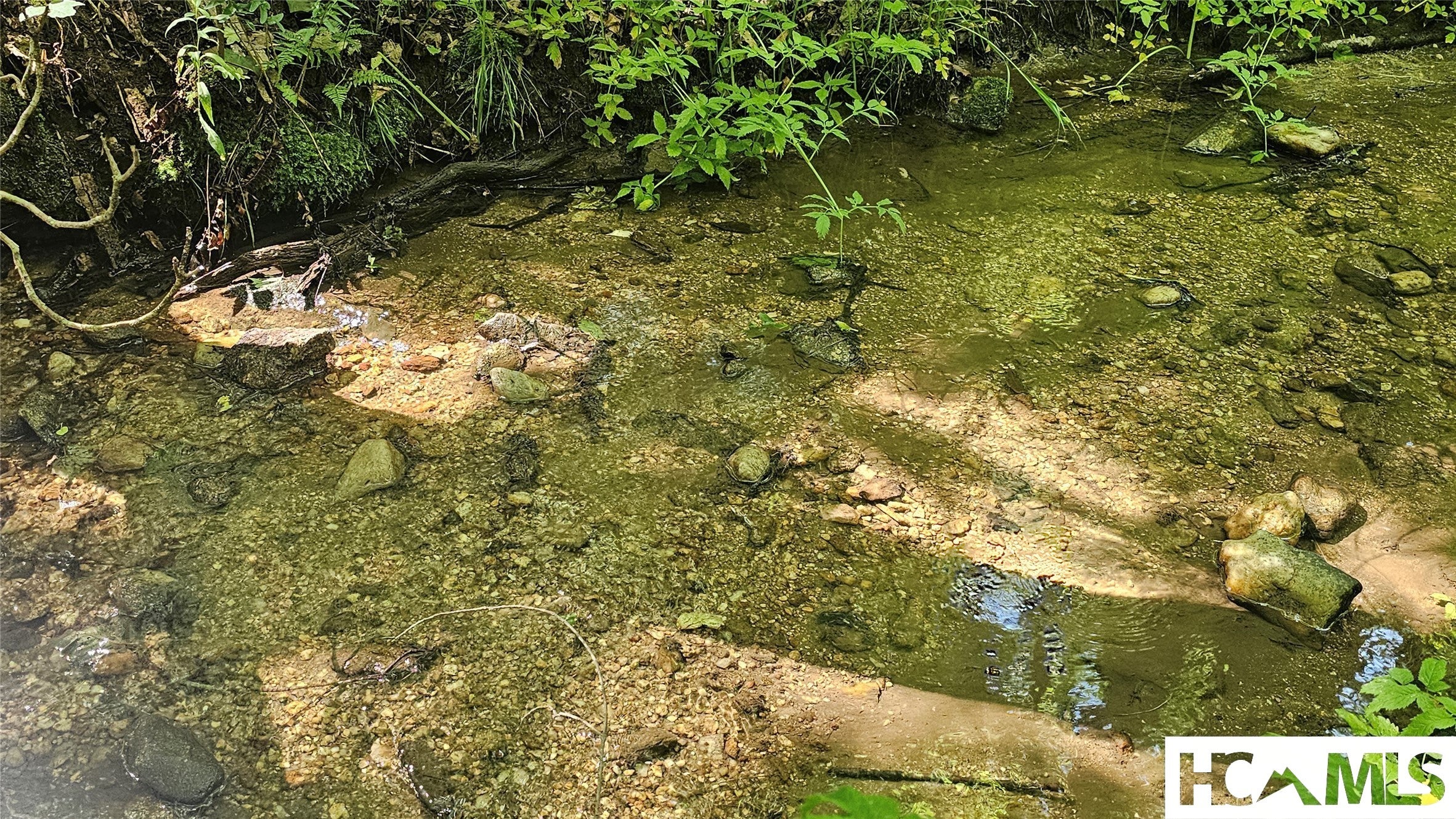 0 Grandaddy Still Road Scaly Mountain, NC 28775 - Photo 2 of 10 Gallery Image 2