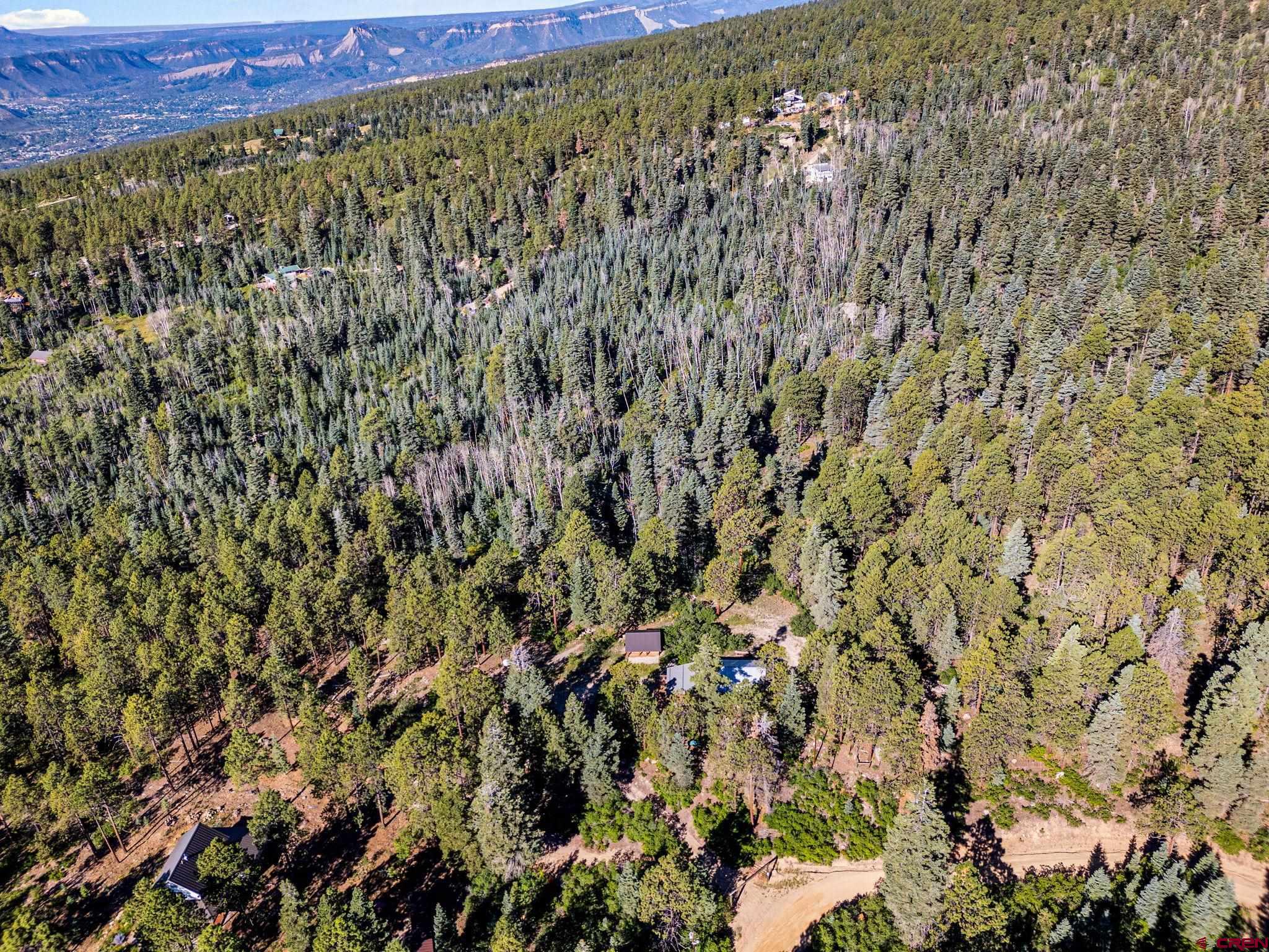 1875 Silver Mesa Driveway Durango, CO 81301 - Photo 26 of 27 a view of a green field