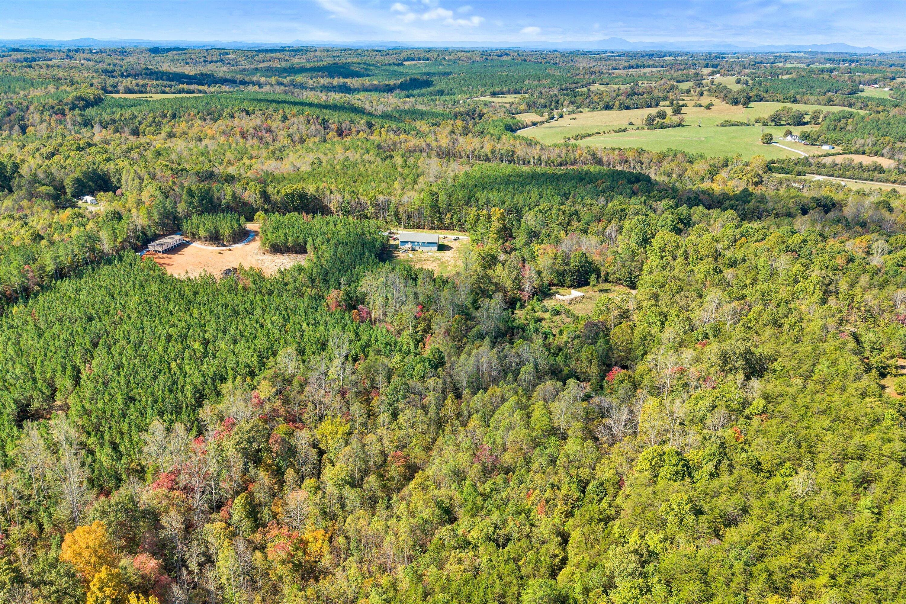 an aerial view of residential houses with outdoor space and trees
