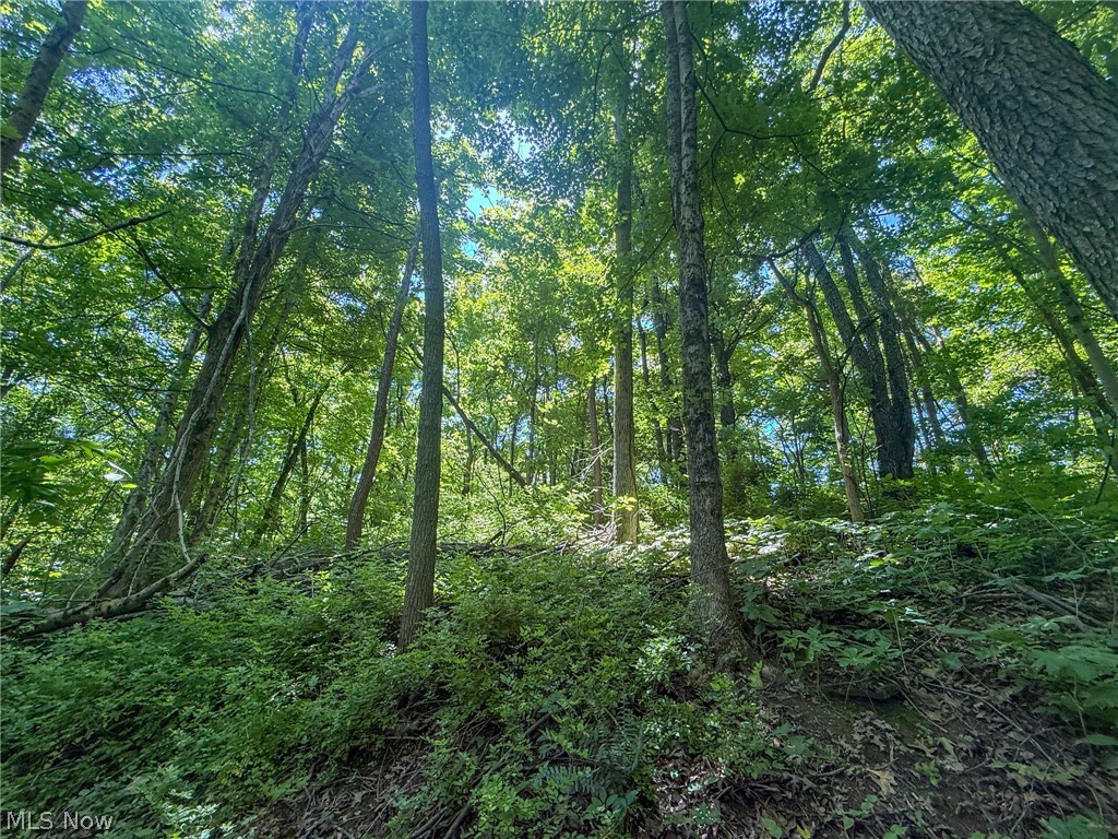 Keffer Road Stockport, OH 43787 - Photo 19 of 25