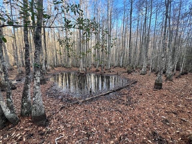 25-ac Smyrna Road Florala, AL 36442 - Photo 26 of 36 Gallery Image 26