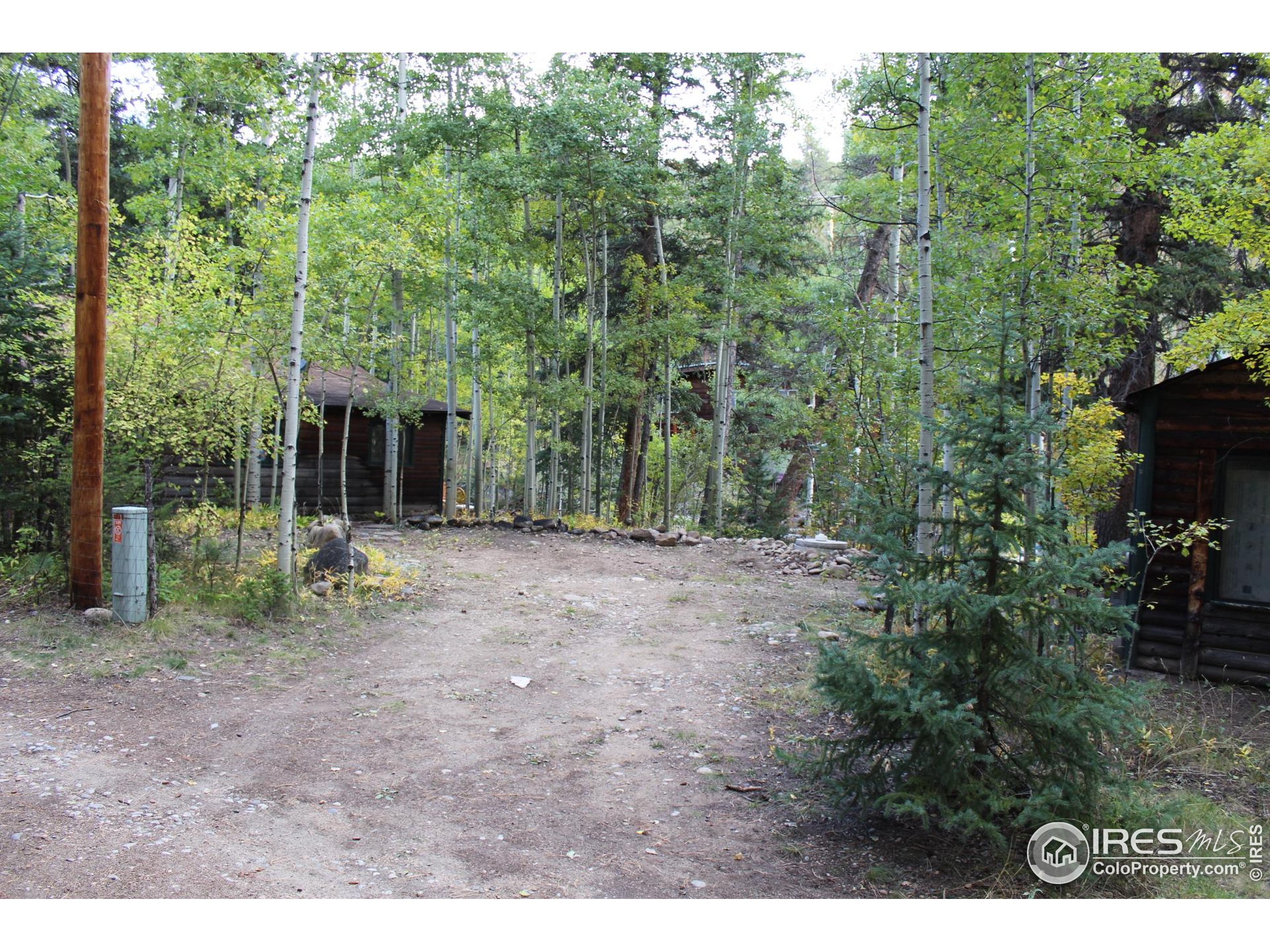 223 Riverside Drive Lyons, CO 80540 - Photo 11 of 32