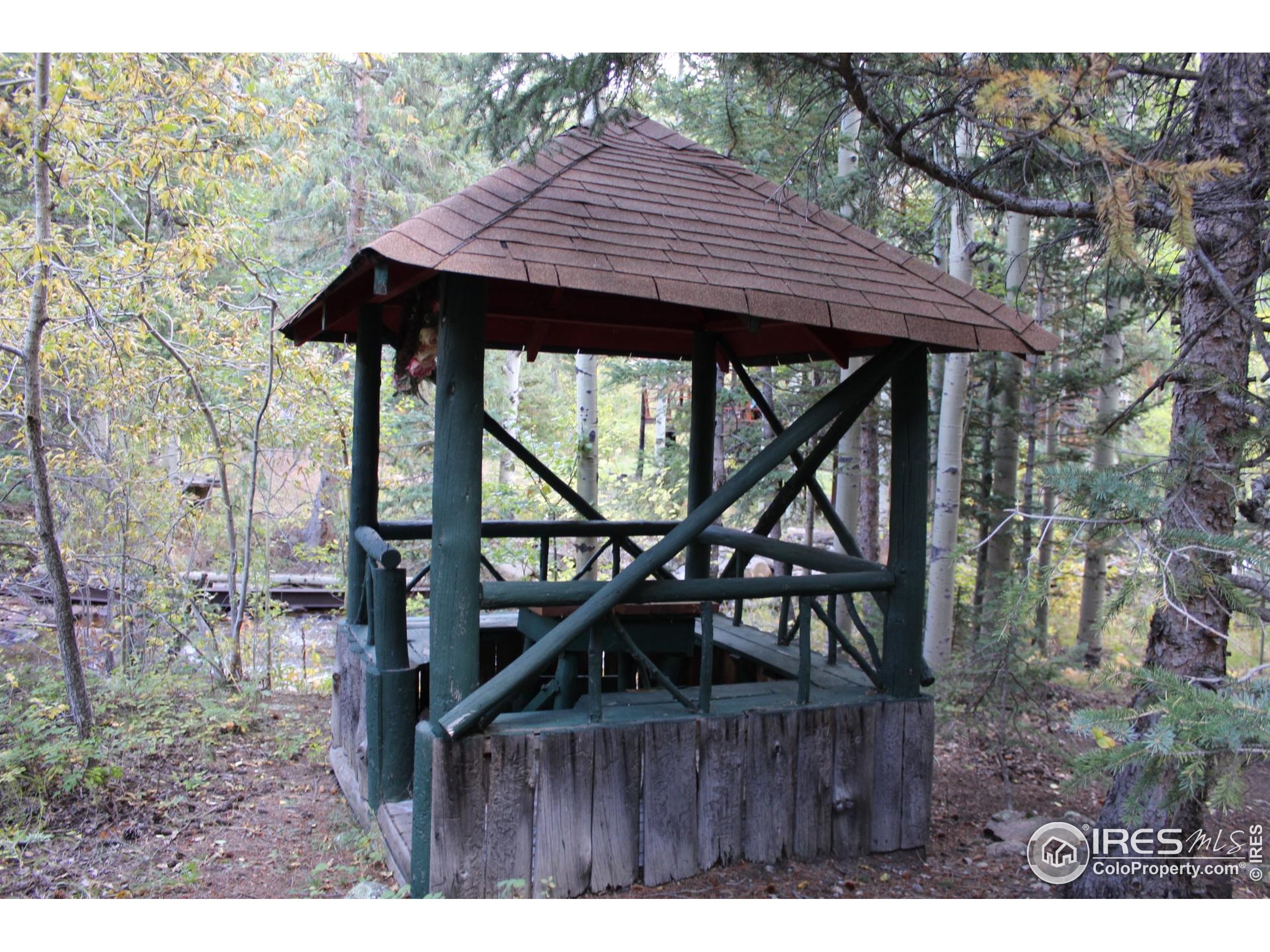 223 Riverside Drive Lyons, CO 80540 - Photo 21 of 32
