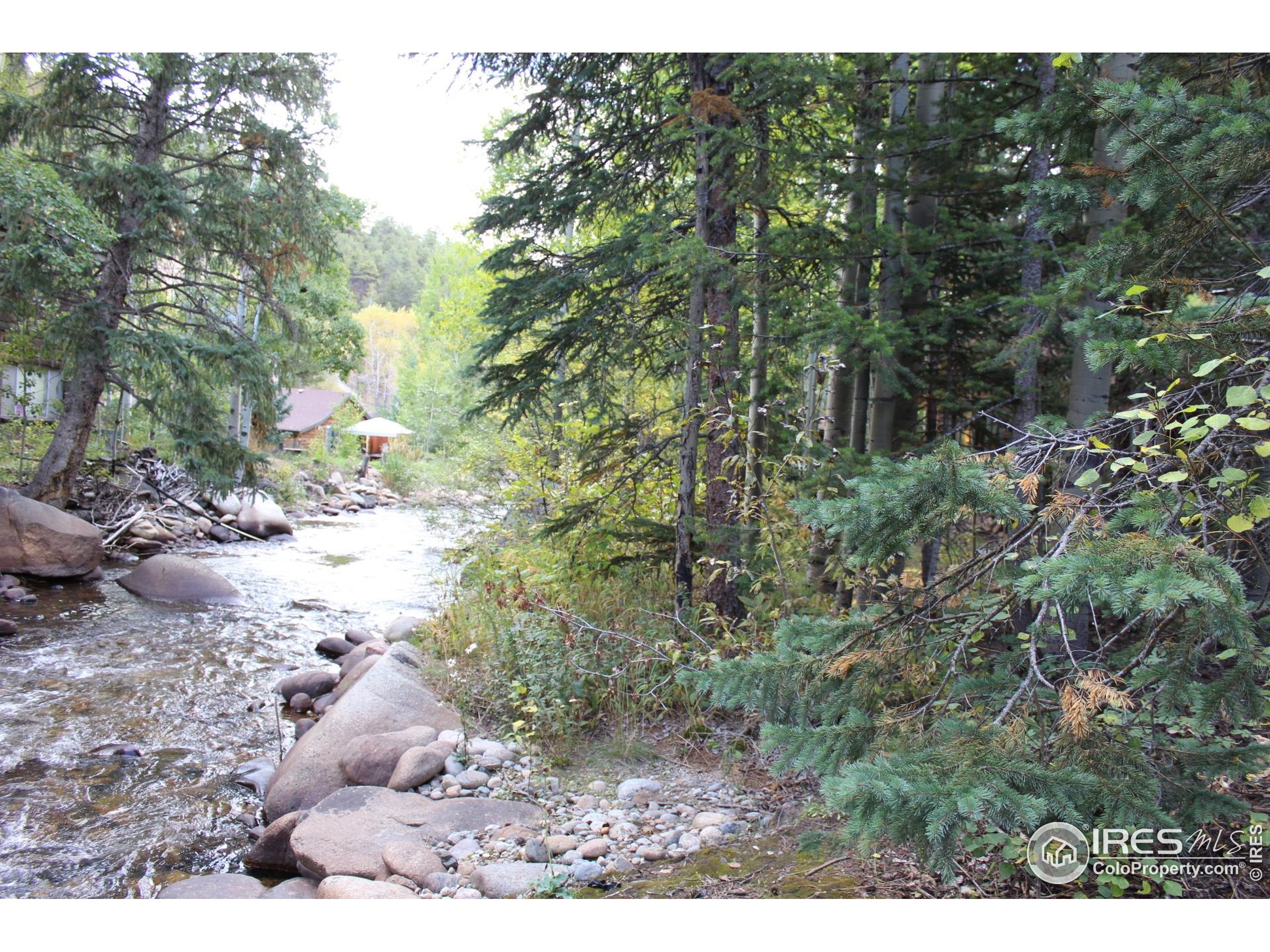 223 Riverside Drive Lyons, CO 80540 - Photo 7 of 32