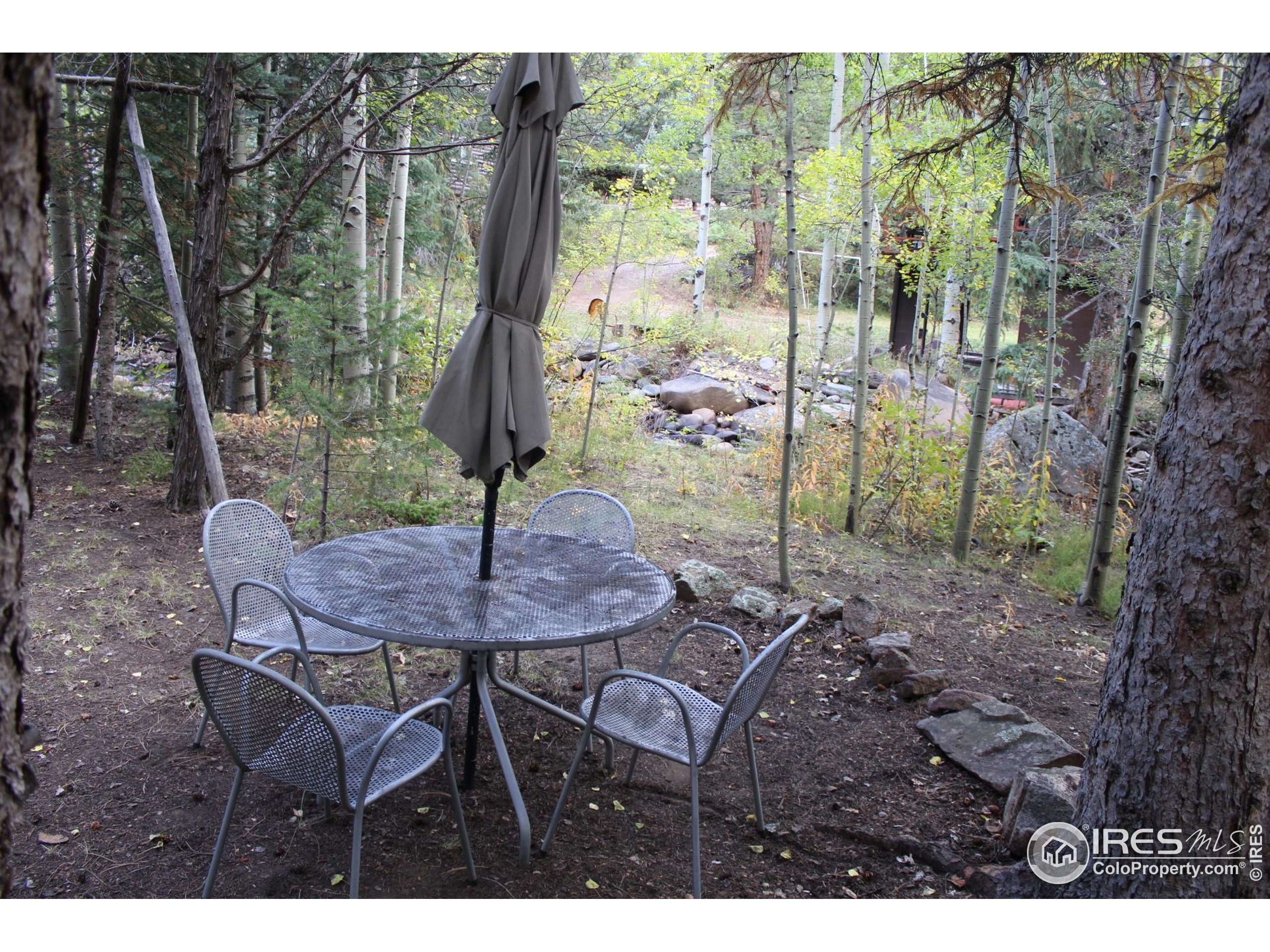 223 Riverside Drive Lyons, CO 80540 - Photo 8 of 32