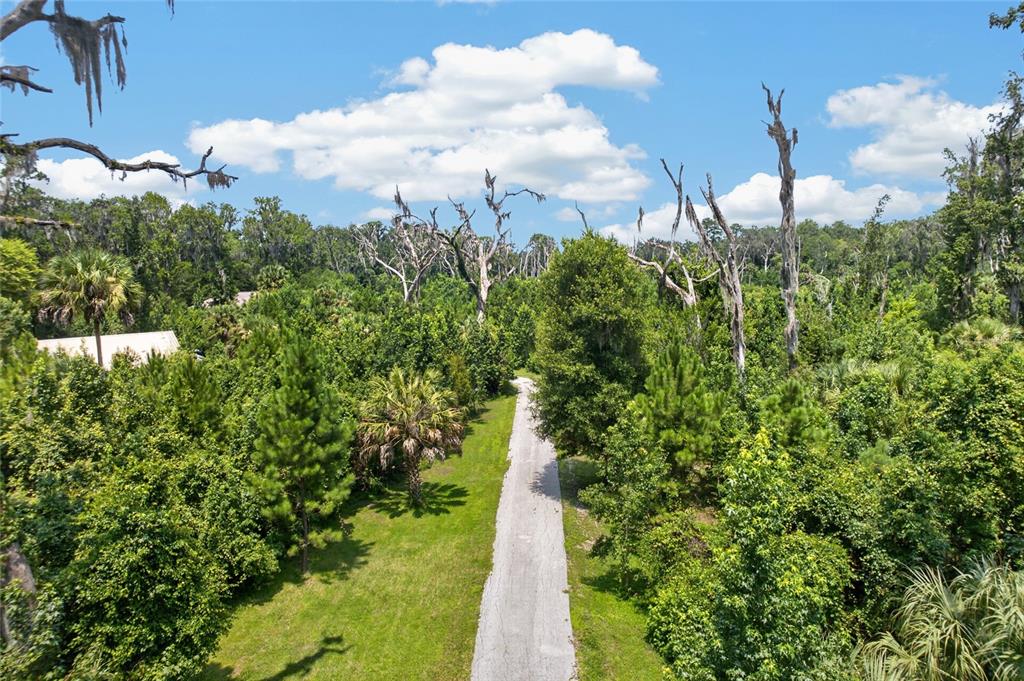 19040 Northwest 88th Avenue Road Reddick, FL 32686 - Photo 68 of 69 Gallery Image 68