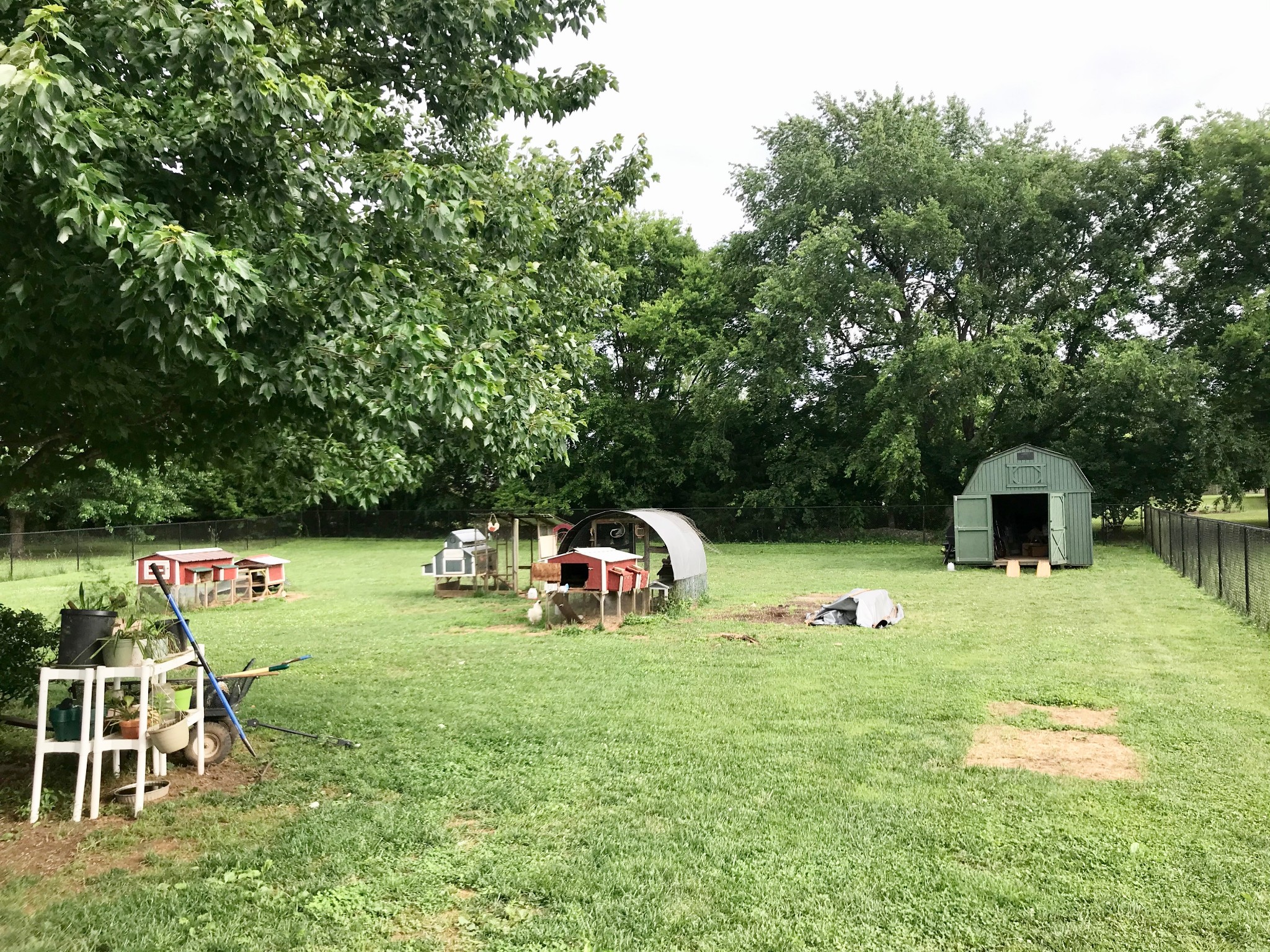 207 Towbridge Drive Murfreesboro, TN 37129 - Photo 29 of 31 a backyard of a house with table and chairs
