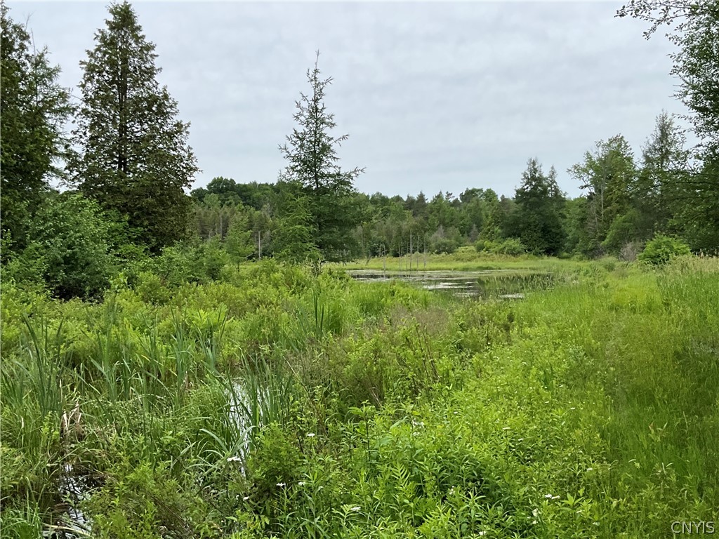 0 County Rte 35 Canton, NY 13617 - Photo 11 of 33