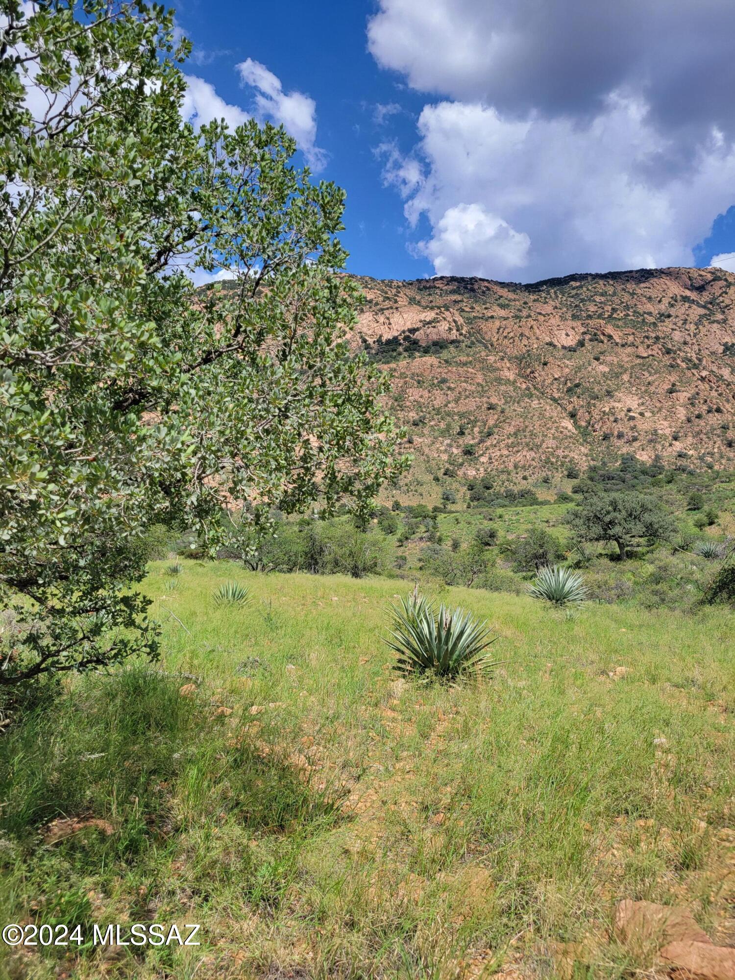 Tbd North Hannon Ranch Lane Bisbee, AZ 85603 - Photo 3 of 12