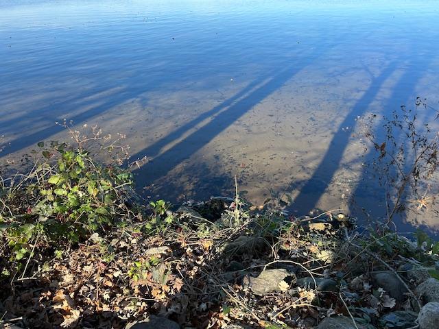 14438 Cedarleaf Point Road Southeast Brainerd, MN 56401 - Photo 45 of 49