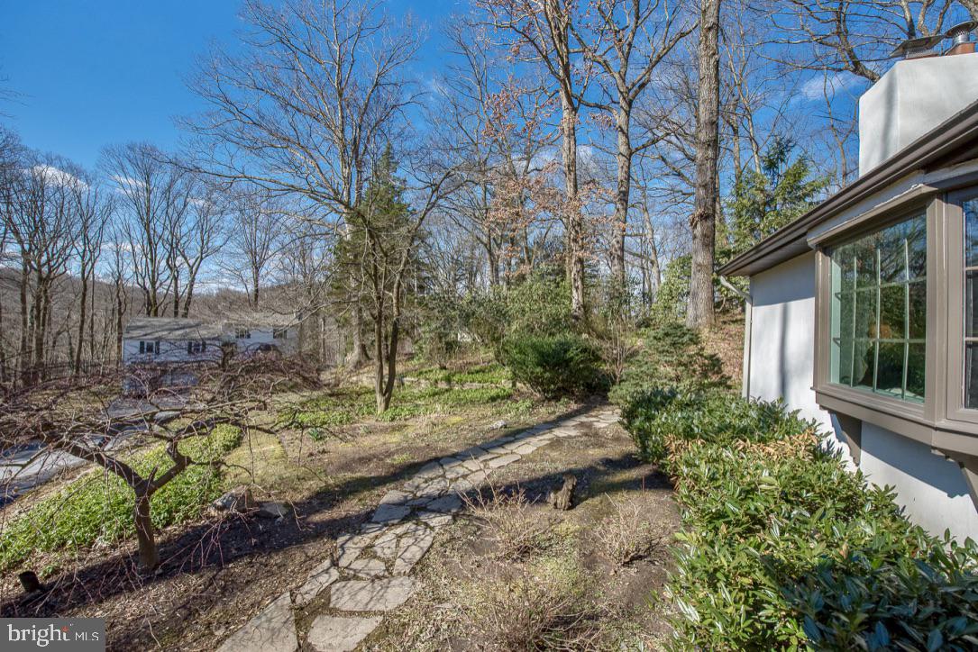 338 Greene Road Berwyn, PA 19312 - Photo 3 of 45 View in back of house