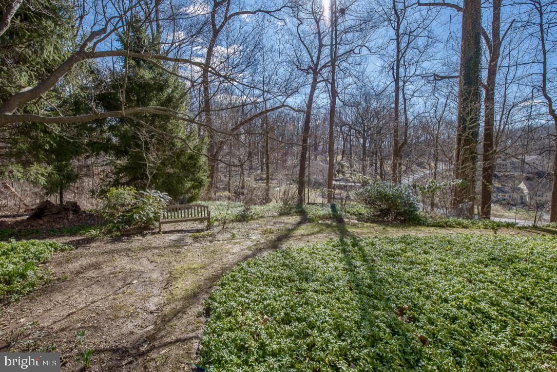 338 Greene Road Berwyn, PA 19312 - Photo 31 of 45 Quiet location