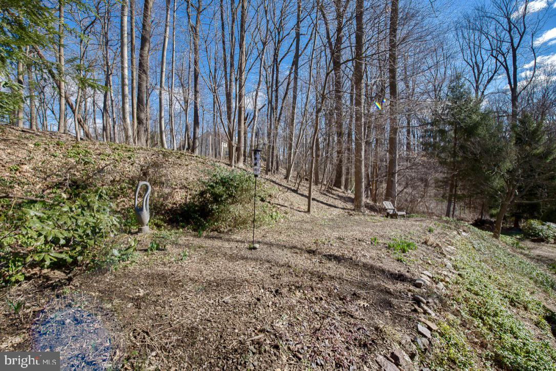 338 Greene Road Berwyn, PA 19312 - Photo 32 of 45
