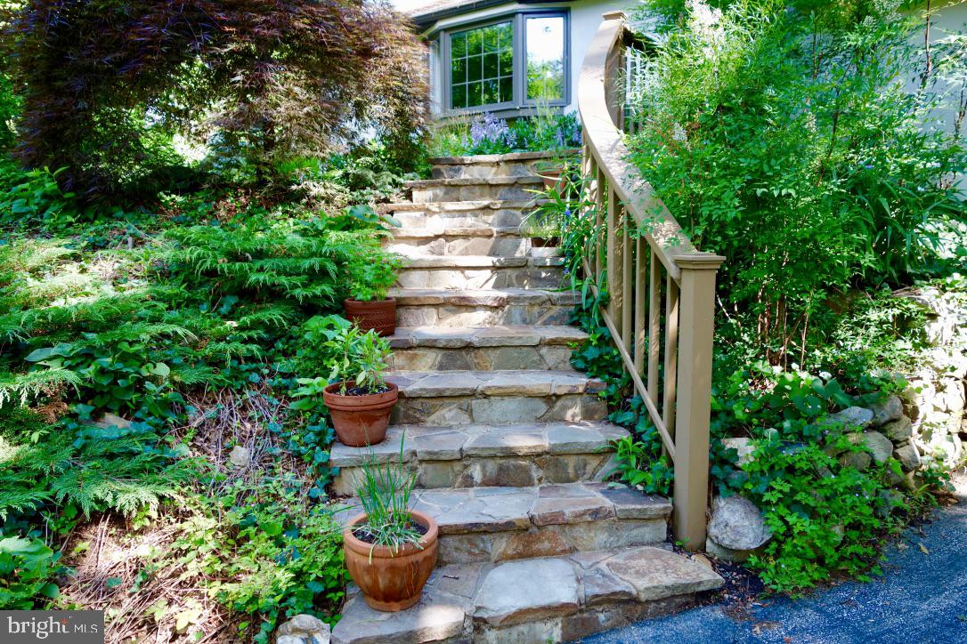 338 Greene Road Berwyn, PA 19312 - Photo 33 of 45 Seasonal photos of perennial gardens and bushes