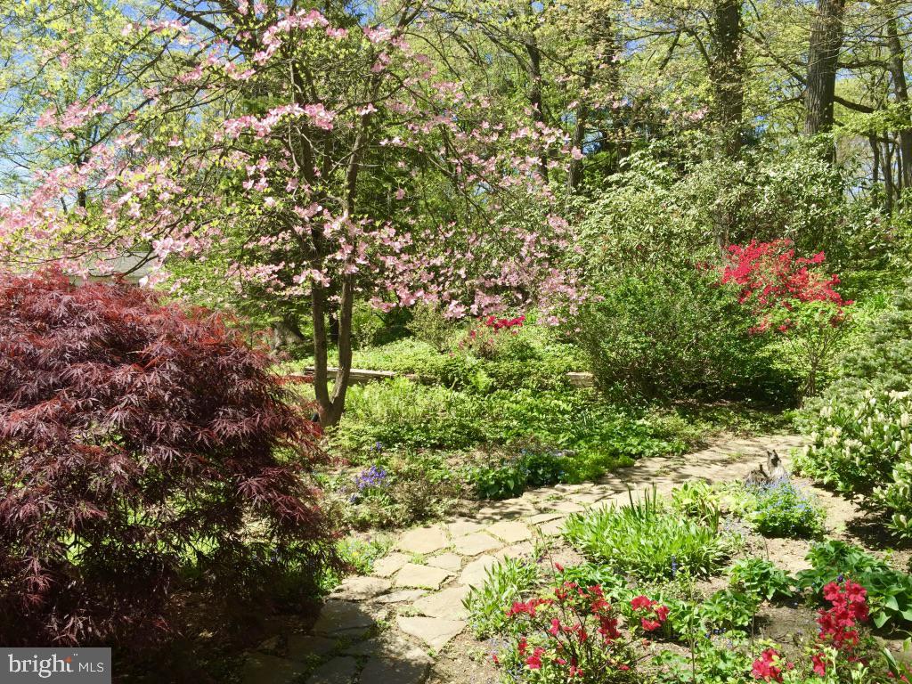 338 Greene Road Berwyn, PA 19312 - Photo 42 of 45 Flowering trees and shrubs