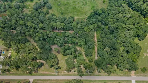 a view of a lush green forest with lawn chairs and large trees