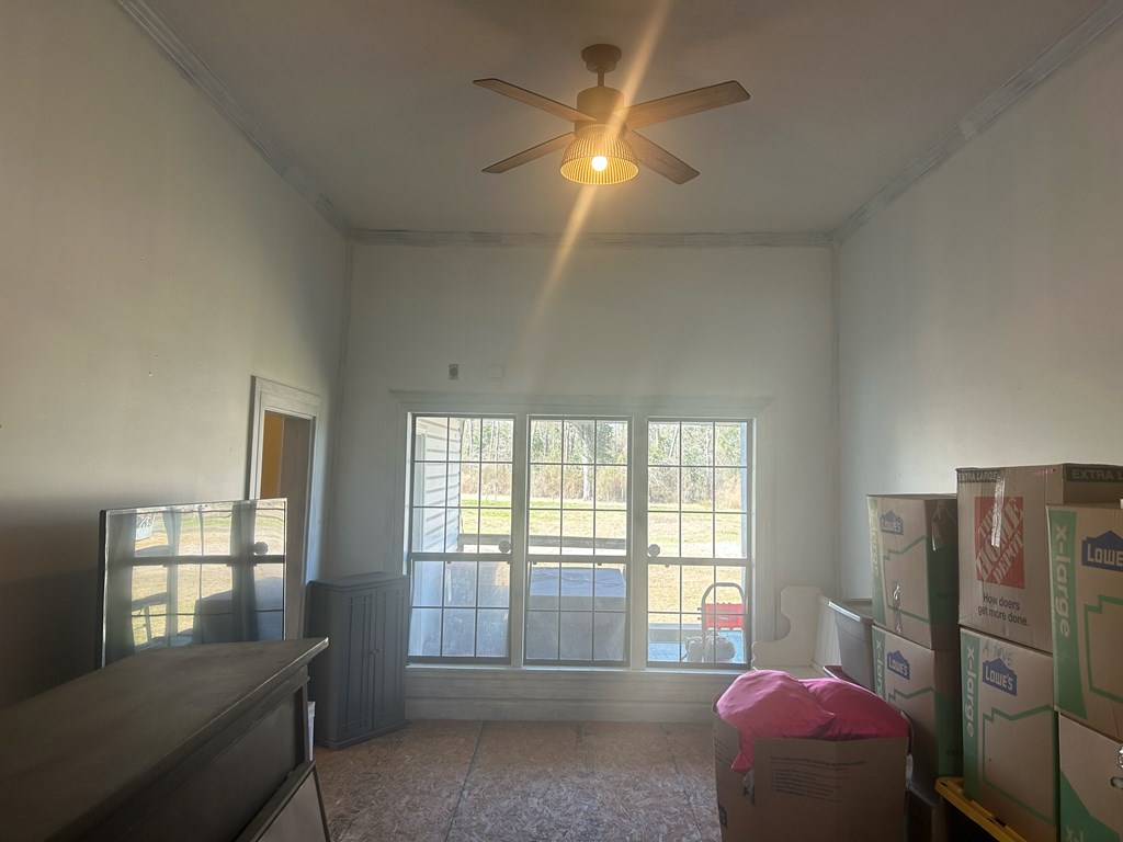 4717 State Line Road Cottonwood, AL 36320 - Photo 13 of 37