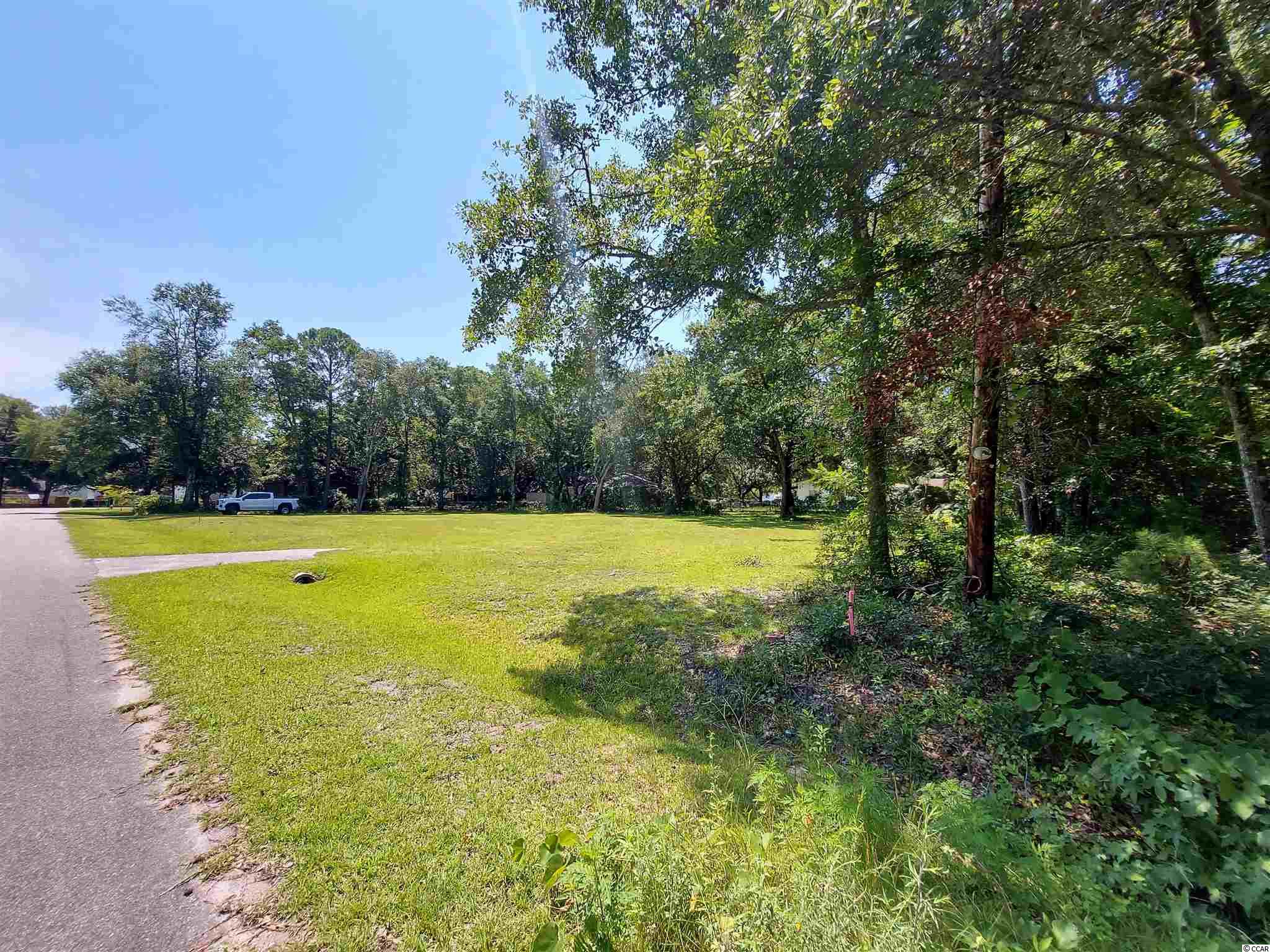 1069 Palmer Place Murrells Inlet, SC 29576 - Photo 3 of 7
