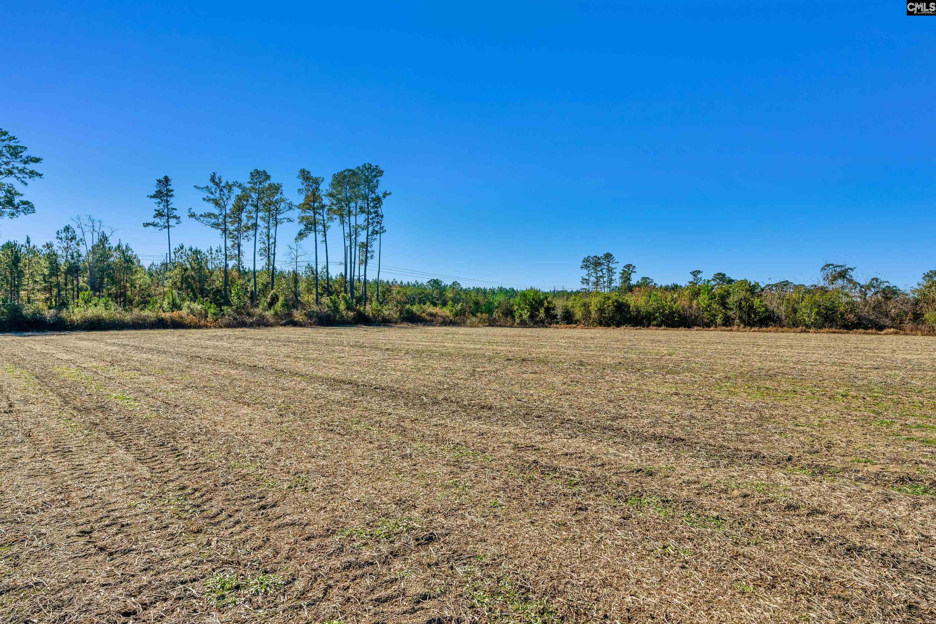 1745 Williams Hill Road Hemingway, SC 29554 - Photo 16 of 25