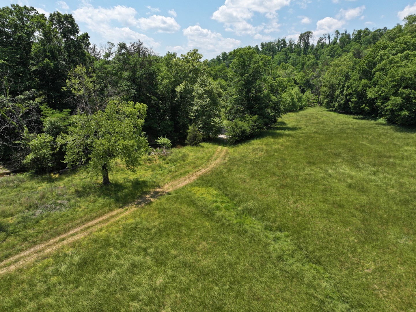 110 Wade Reed Road White Bluff, TN 37187 - Photo 48 of 80