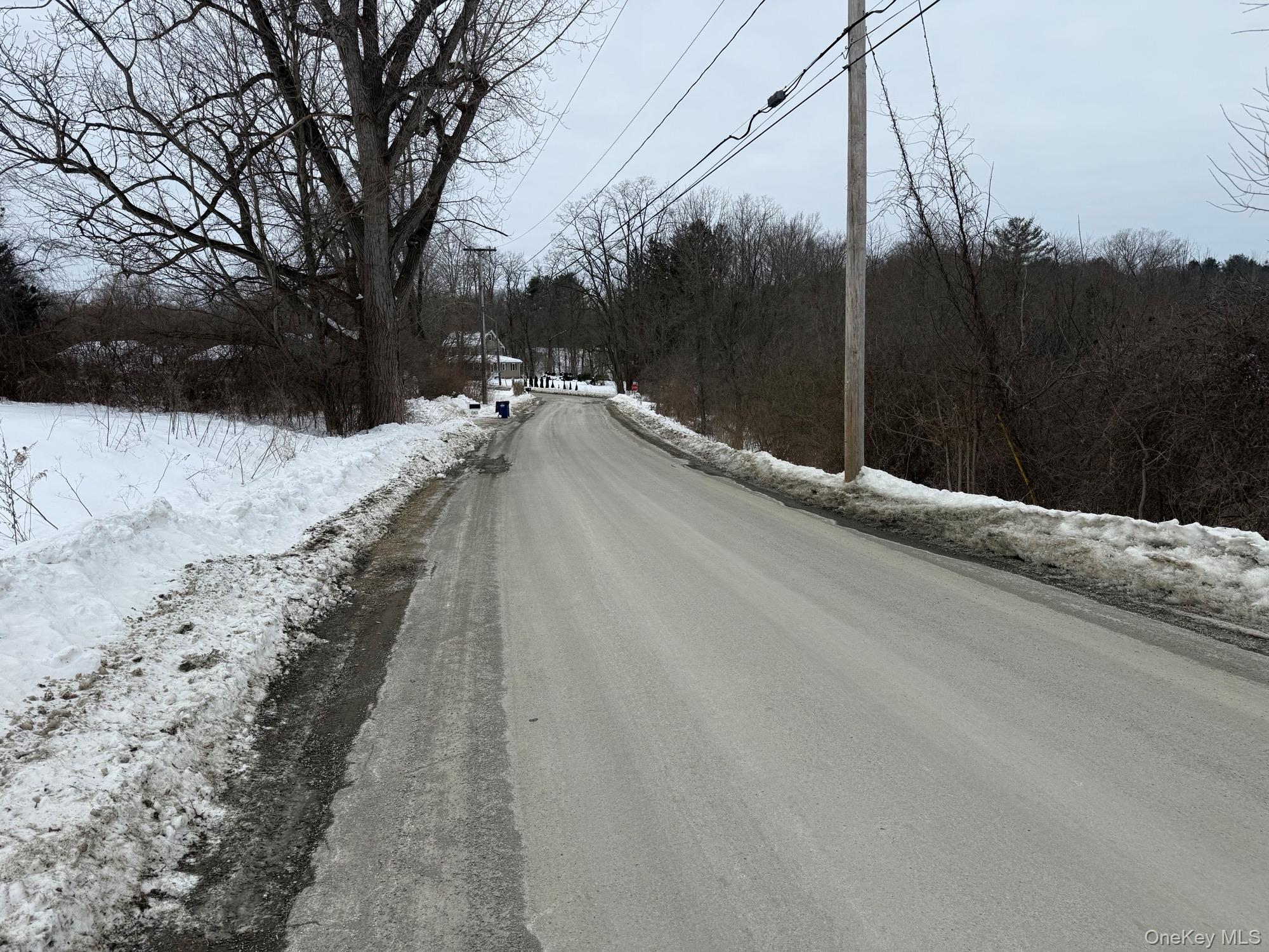 8 Yellow City Road Amenia, NY 12501 - Photo 1 of 4 a view of a backyard of the house
