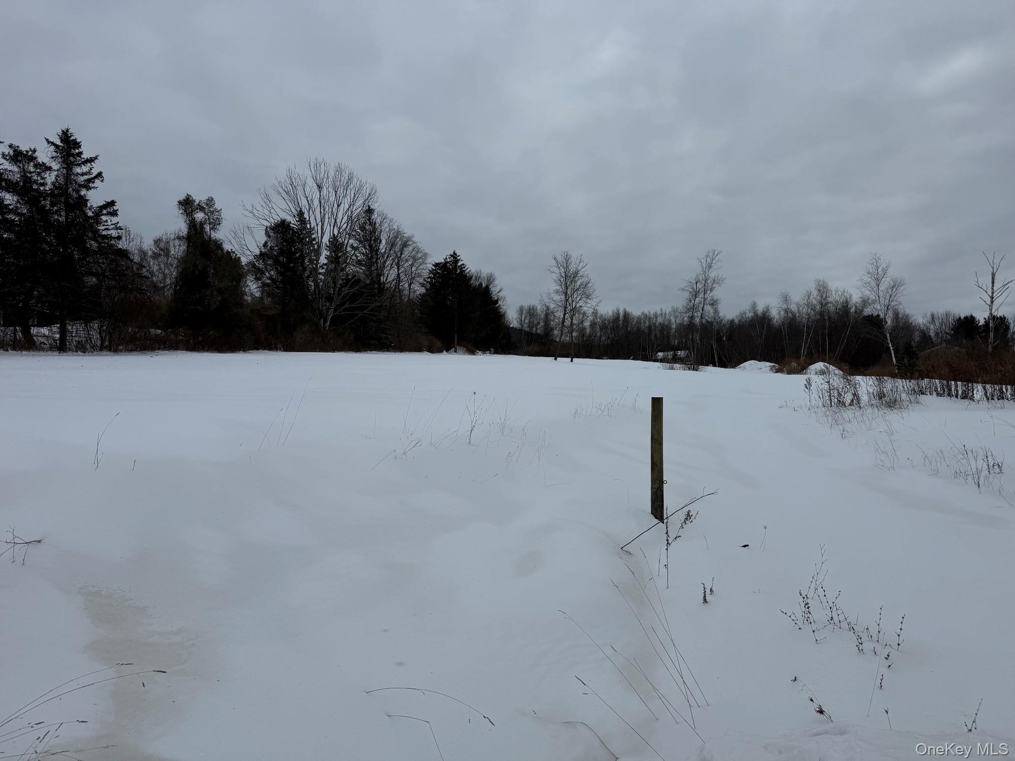 8 Yellow City Road Amenia, NY 12501 - Photo 2 of 4 a view of outdoor space and yard