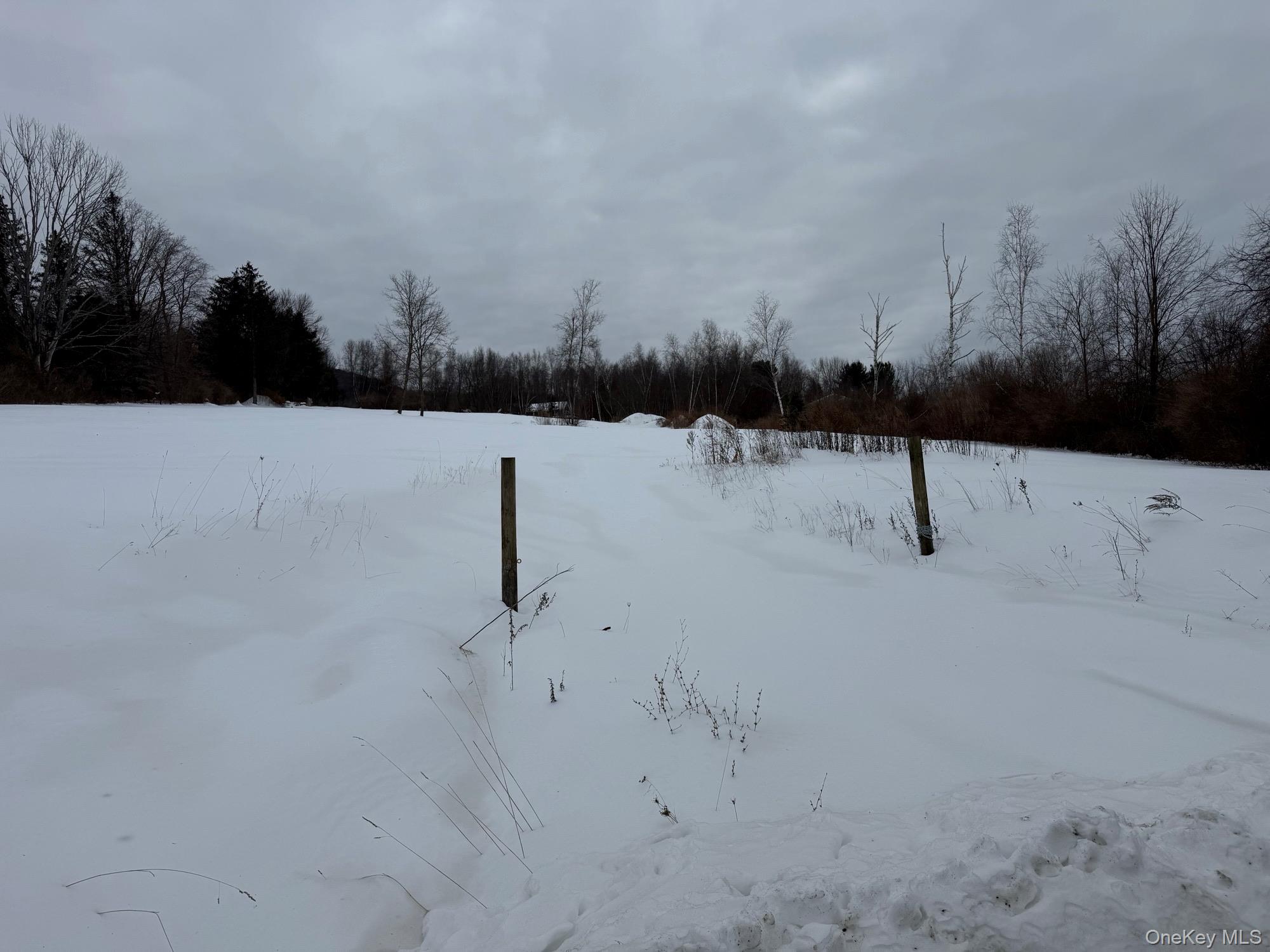 8 Yellow City Road Amenia, NY 12501 - Photo 3 of 4 a view of water view with trees in the background