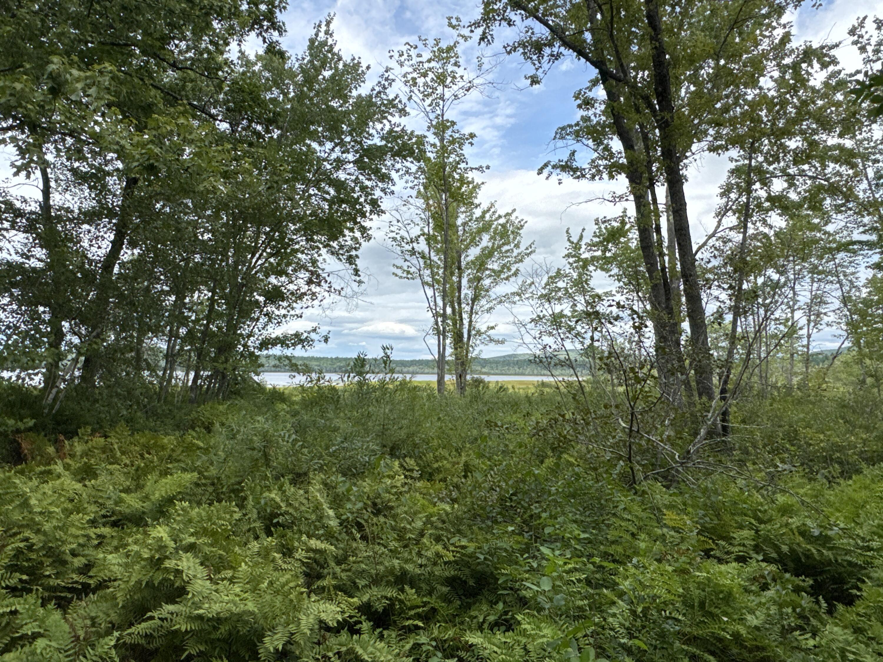 Map20-lot19 Carter Hill Road Fryeburg, ME 04037 - Photo 8 of 22
