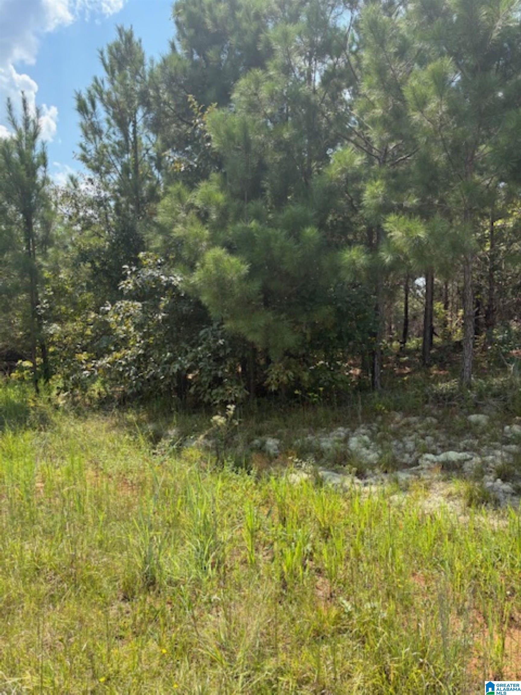 472 County Road, Unit 3 Clanton, AL 35045 - Photo 3 of 5