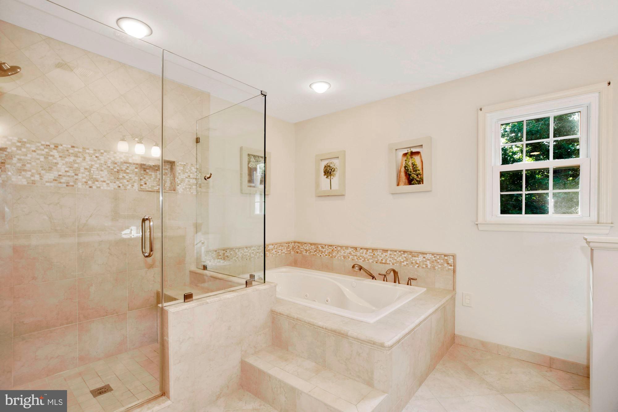 7420 Silver Pine Drive Springfield, VA 22153 - Photo 45 of 53 Primary bathroom