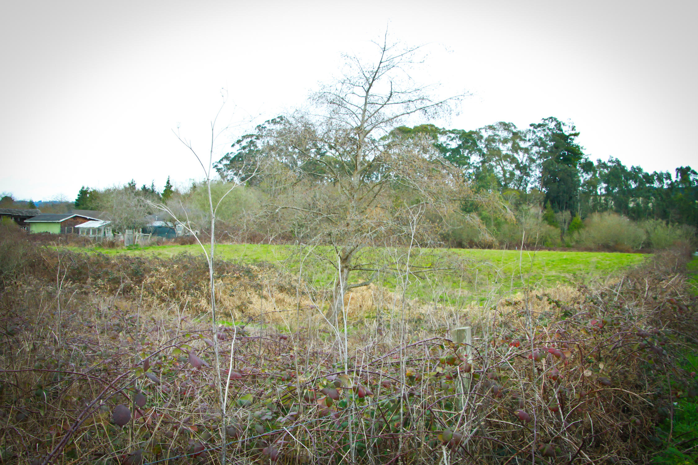 1696 17th Street Arcata, CA 95521 - Photo 11 of 28