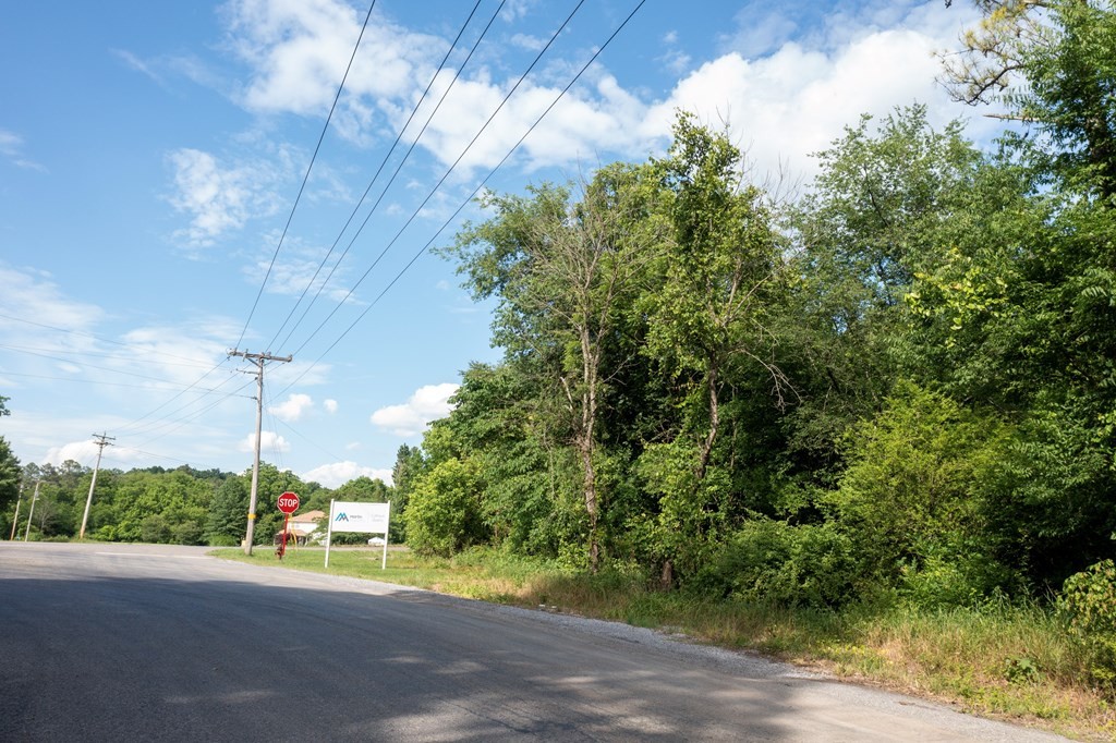 1 State Highway Calhoun, TN 37309 - Photo 18 of 20