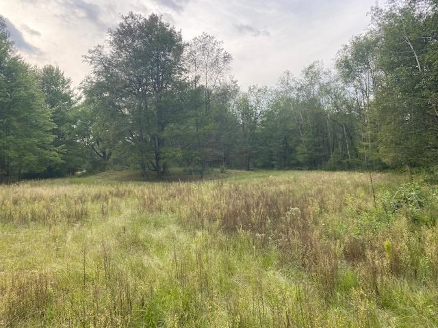 2877 Klender Road Rhodes, MI 48652 - Photo 19 of 27