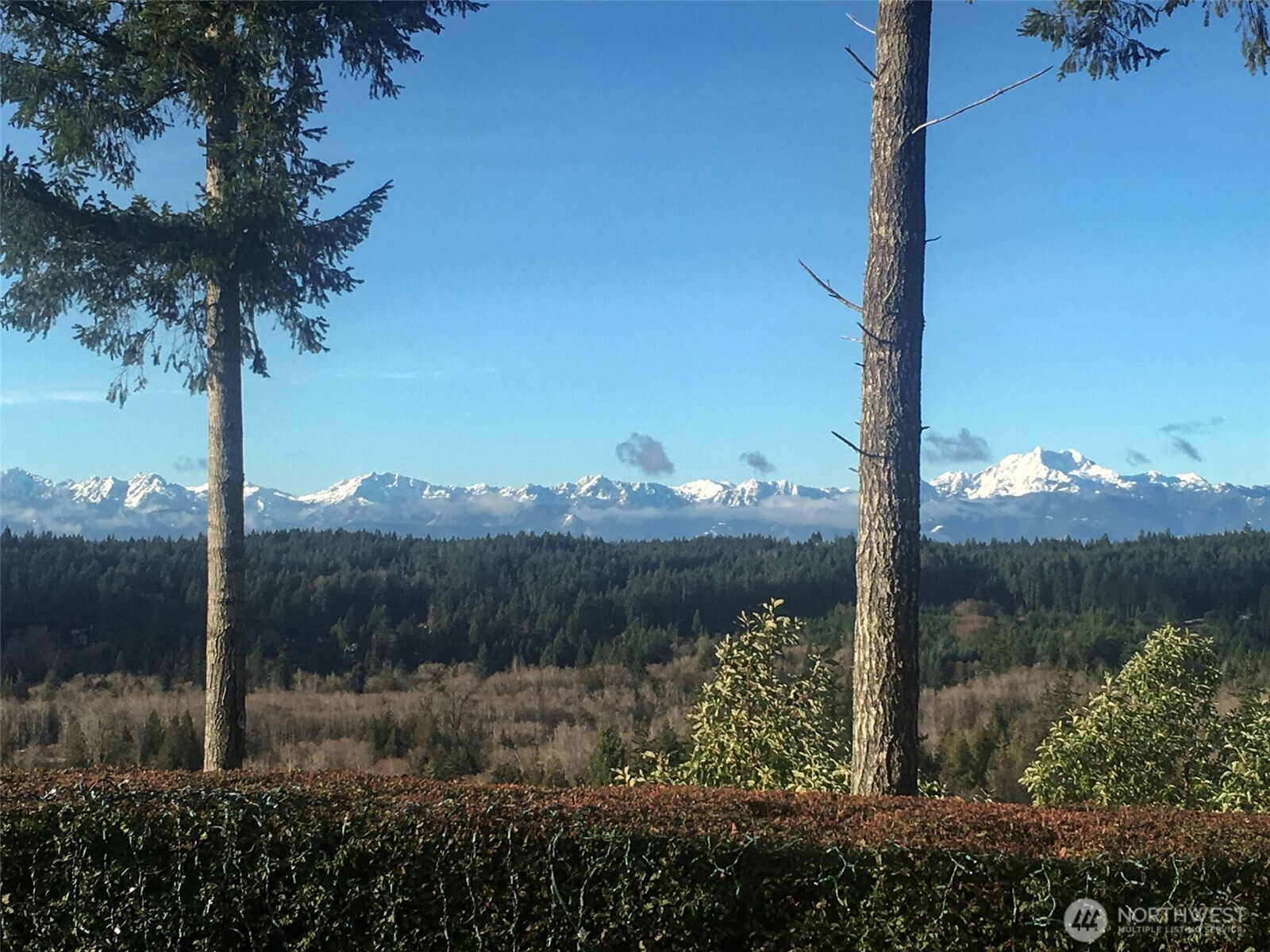 383 Romance Hill Road, Unit D Belfair, WA 98528 - Photo 1 of 39