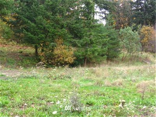 237 Ring Road Kalama, WA 98625 - Photo 3 of 3 Gallery Image 3