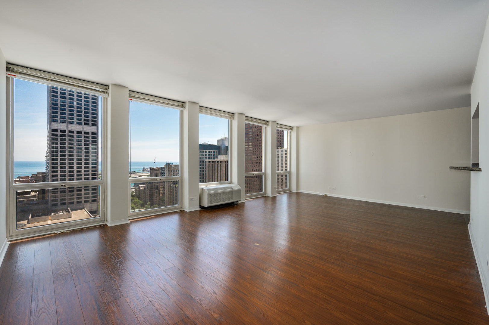 111 East Chestnut Street, Unit 37F Chicago, IL 60611 - Photo 5 of 23 a view of a livingroom with wooden floor
